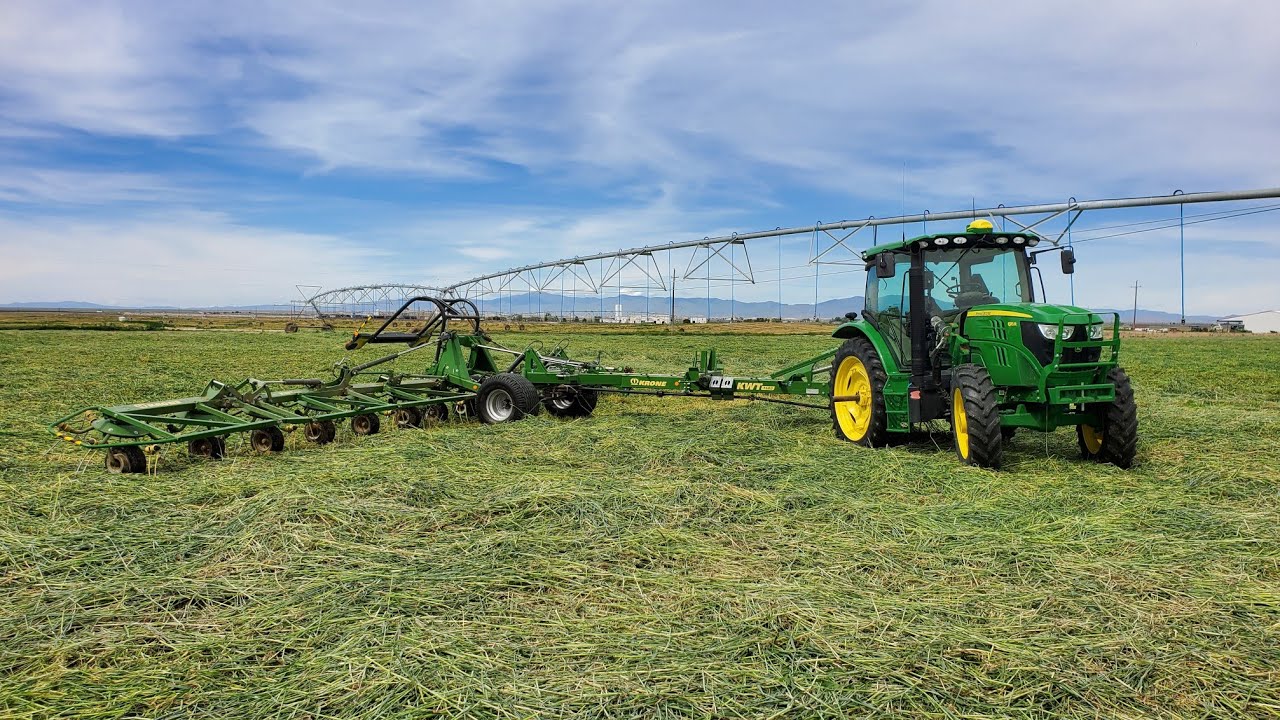 Tedding Hay and More Triticale - The Never Ending Job