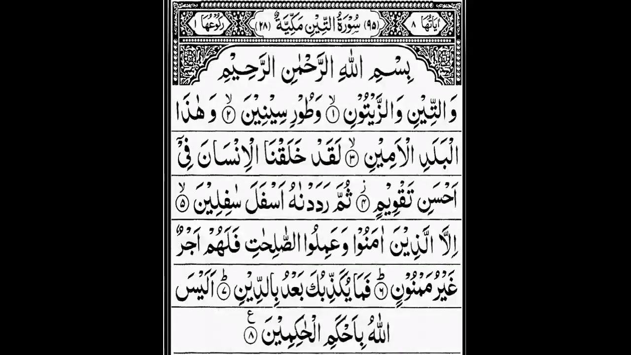 surah tin ki tilawat?surah at tin || surah at teen / surah tin | islamic maloomat
