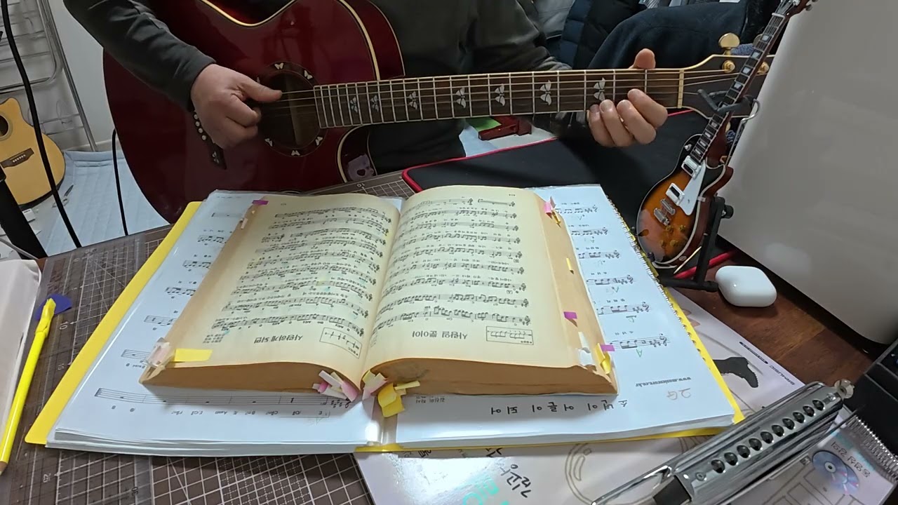 사랑하게 되면(안치환) / 들풀커버곡