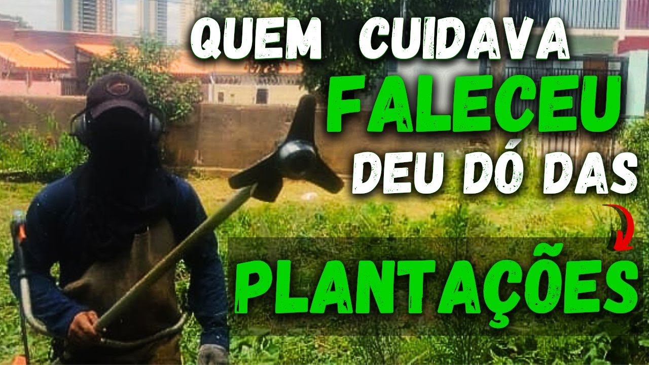 (DEU DÓ) - ROÇANDO TERRENO COM MATO E PLANTAÇÕES | Dia Dia do Jardineiro