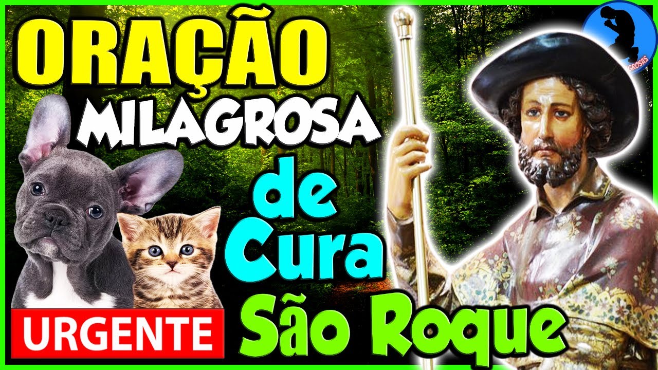 🐶 ORAÇÃO DE SÃO ROQUE PROTETOR DOS ANIMAIS 🐼 A MARAVILHOSA ORAÇÃO DE SÃO ROQUE CONTRA AS DOENÇAS 🐱