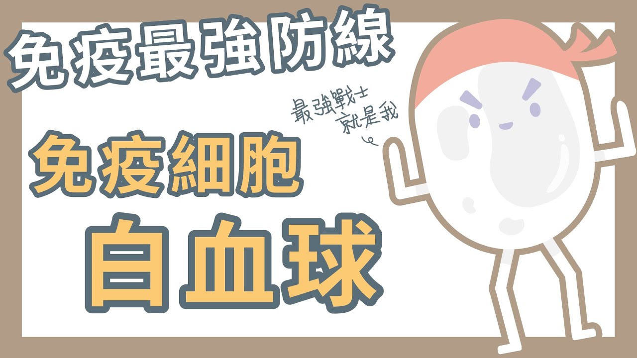 【老胡不胡說】免疫最強防線白血球介紹
