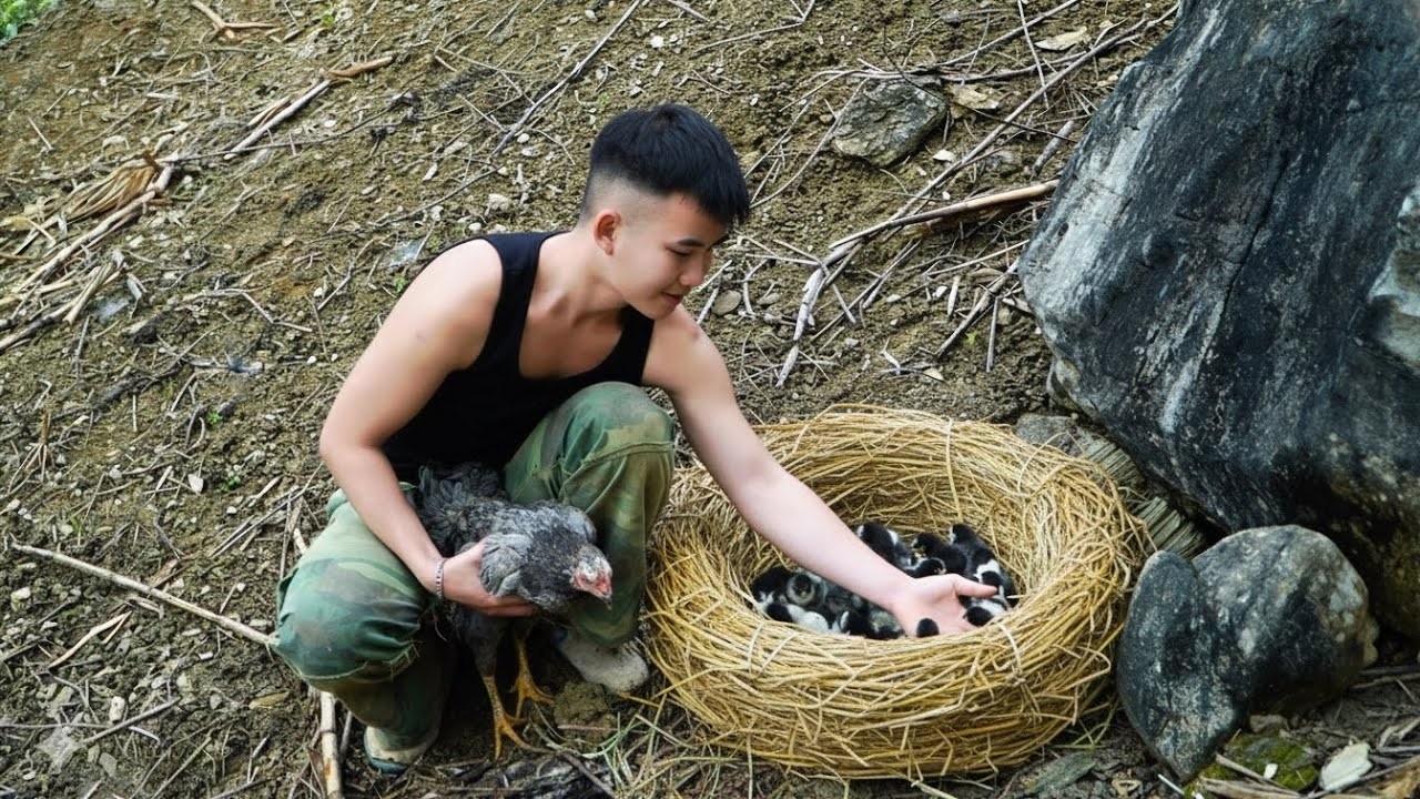 Simple Joys in a New Beginning as Thanh Duong Welcomes the First Chicks to Their Cozy Home!