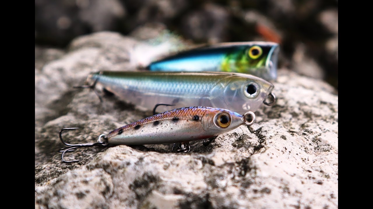 Köderführung für Topwater Wobbler auf Barsch