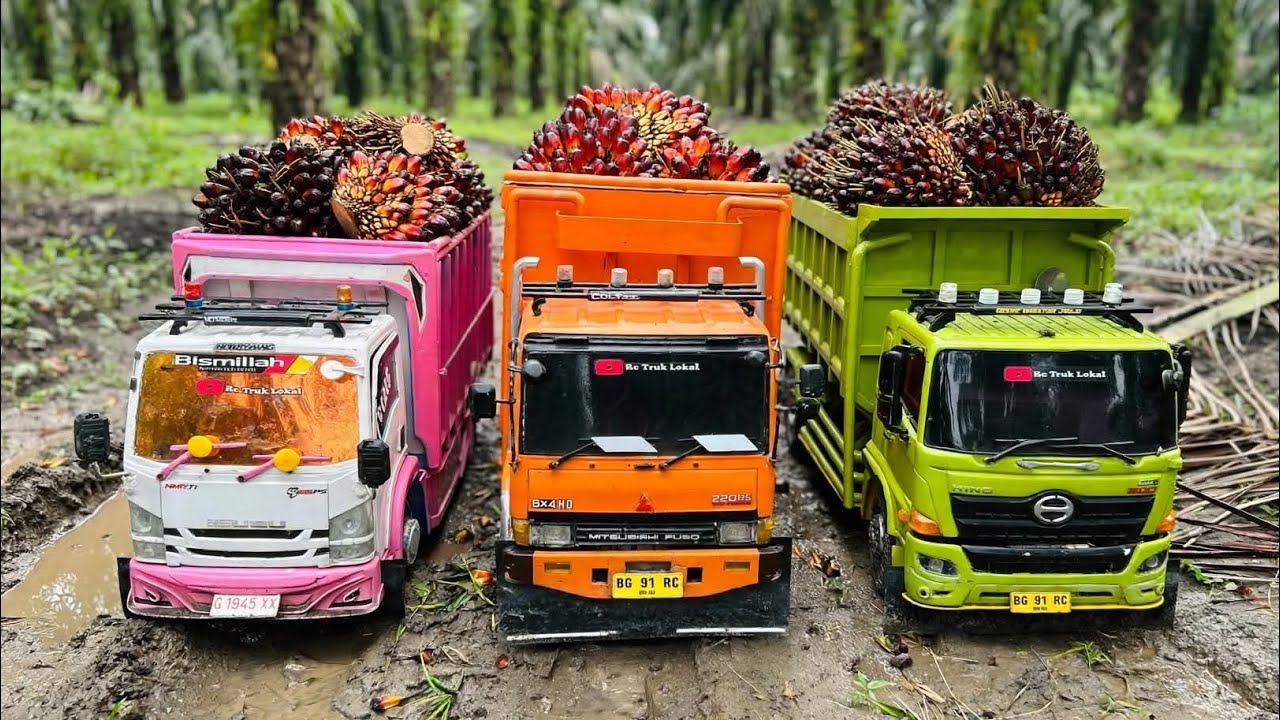 AKSI KE #141 Truk OLENG Dump Truck Hino500 Kirim Sawit Truk Mitsubishi Fuso220ps Tronton Truk Isuzu