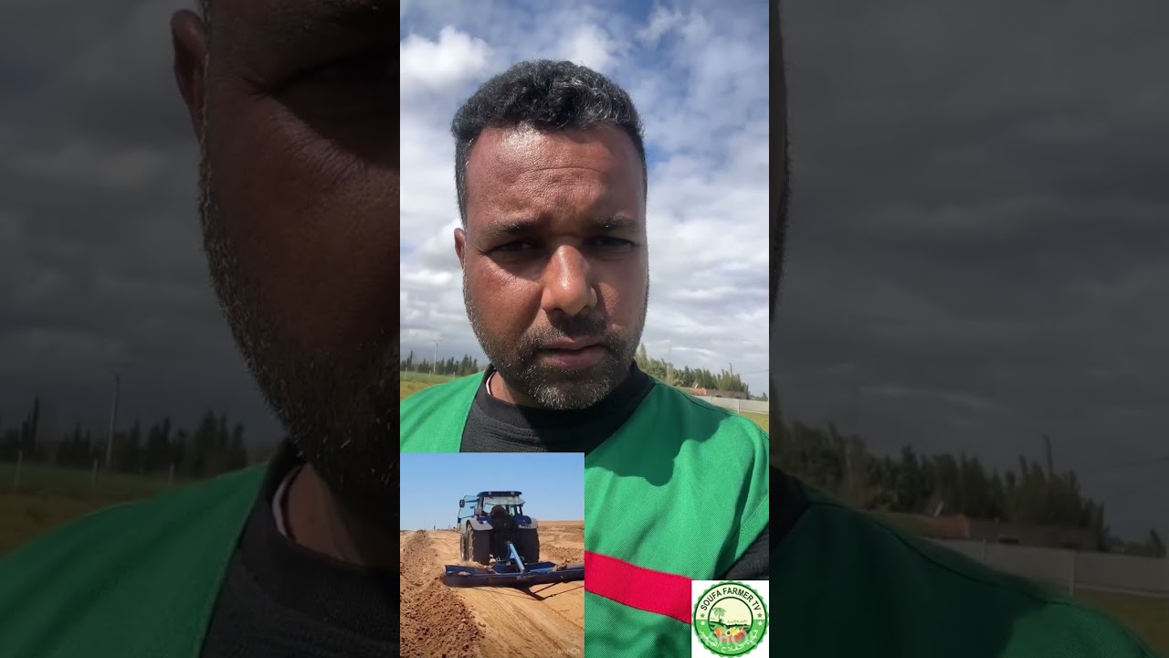 Priorité: Orientation, plantation sud nord & photosynthèse? 