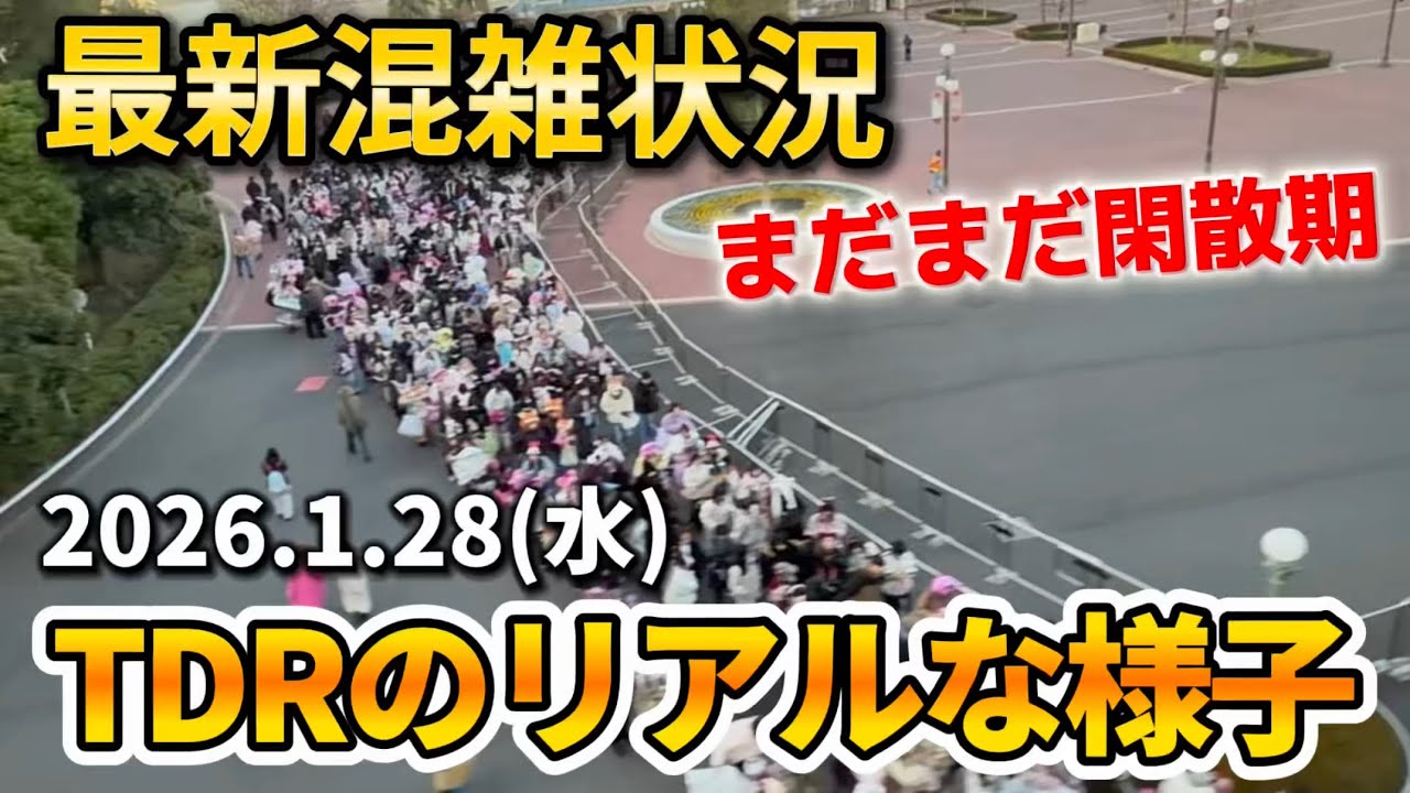 【現場速報】ディズニーリゾート最新混雑状況【2026.1.28】