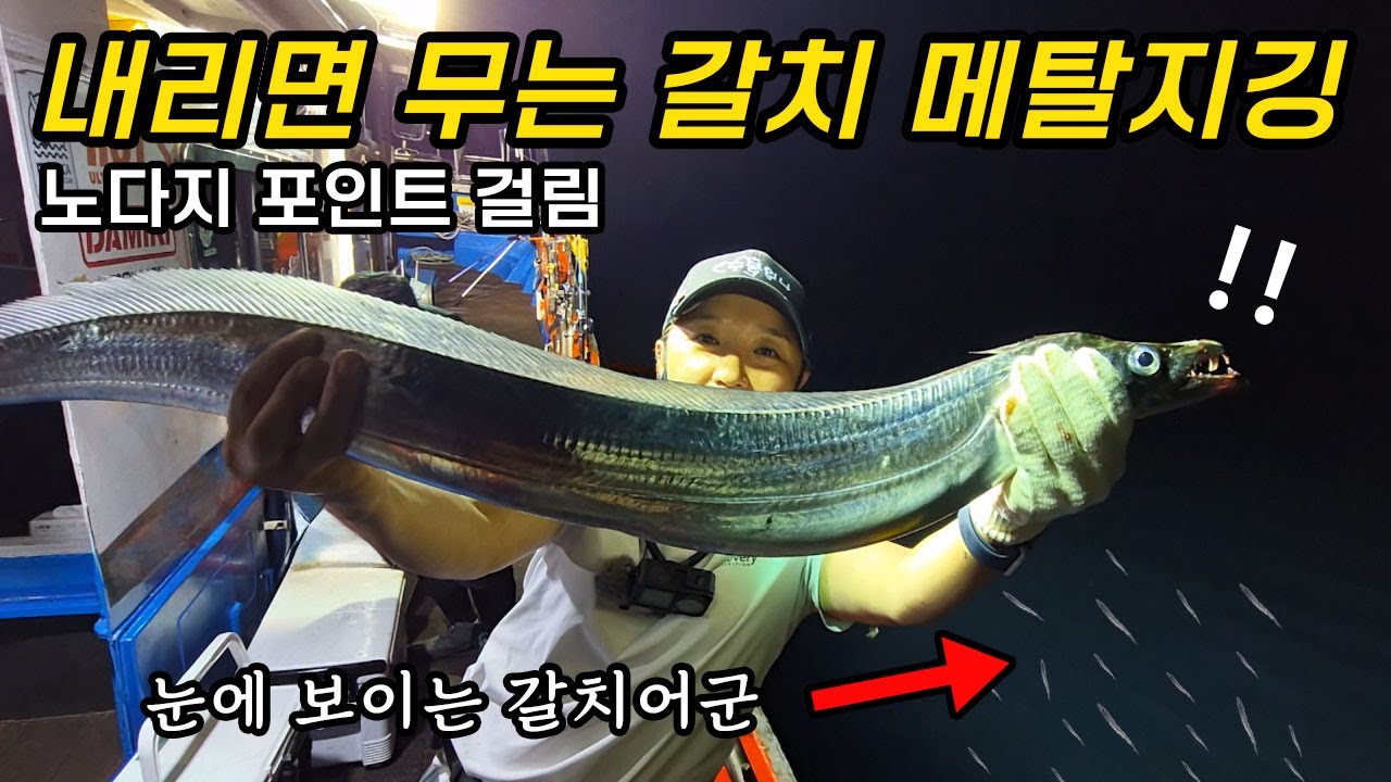 갈치낚시 전략을 바꿨더니 폴링에 미친 듯이 물어줍니다!! 사이즈 실화냐ㄷㄷㄷ