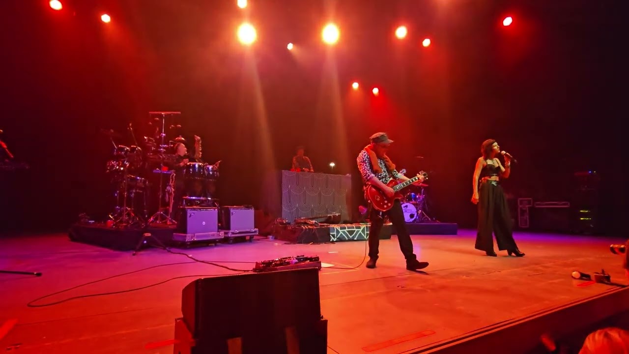 Thievery Corporation Heaven