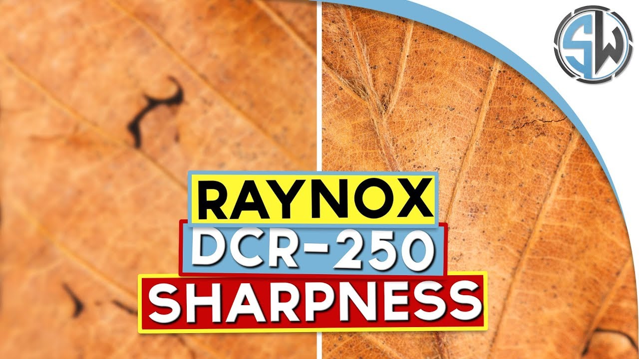 Extension tubes VS Raynox DCR-250 - Sharpness test!