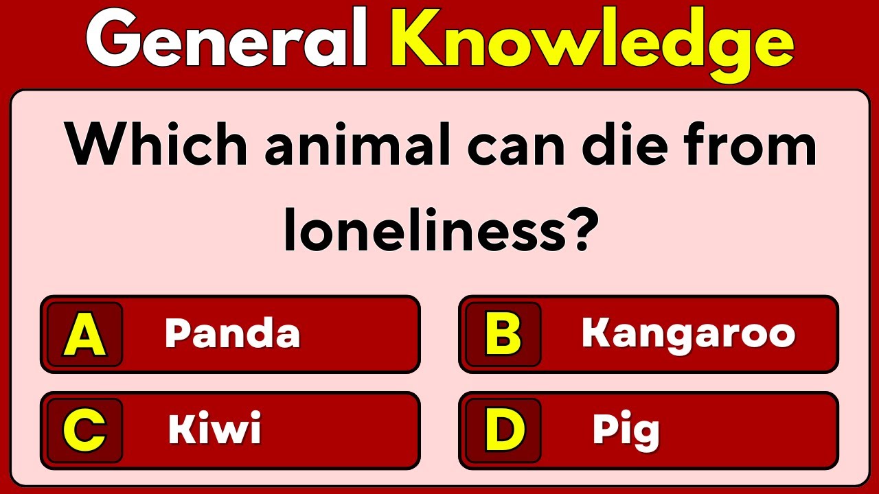 Ultimate General Knowledge Quiz | 40 Mixed GK Questions | Test Your Brain Power