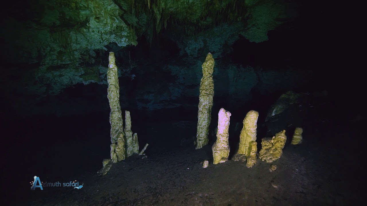 Diving safari  Mexico 2019 Cenote Dream Gate