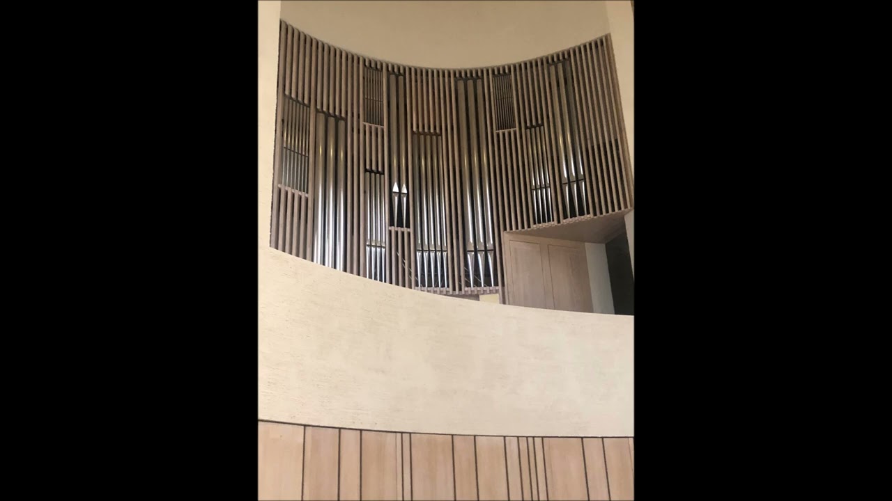 Johann Sebastian Bach:Toccata d moll BWV 565
