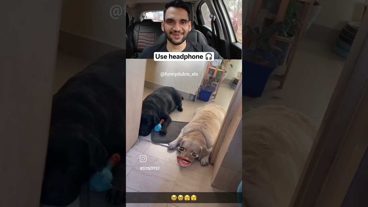 funny dogesh bhai 😂 | reaction | #funny #reaction #shorts #viral #comedy