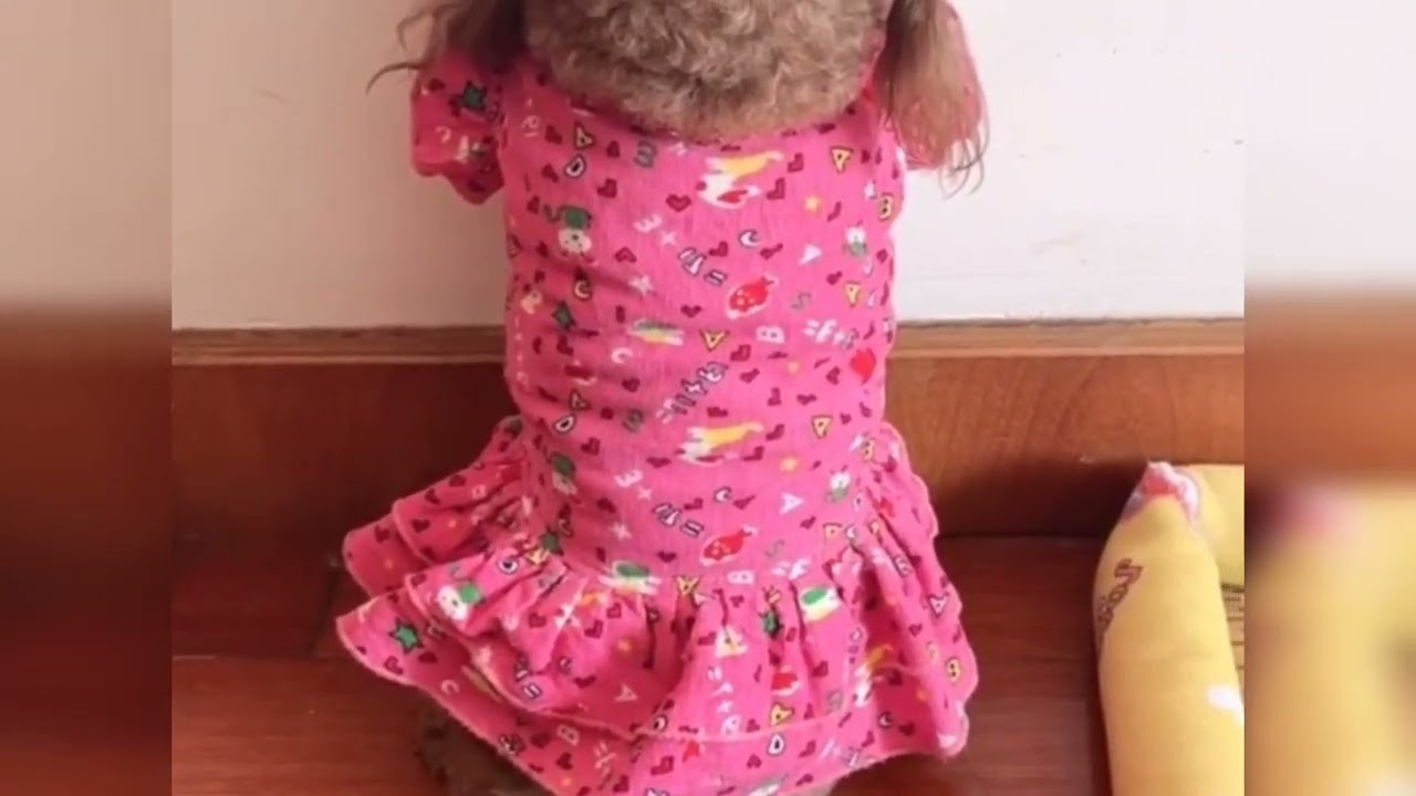 سونا تستعمل كيف تنظف البيت 🙄🙄🙄🙄