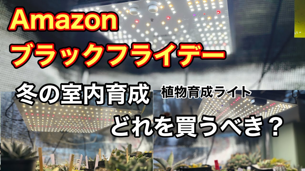 【冬の室内育成】Amazonブラックフライデーで買う植物LEDはこれ！BRIM PANEL A・Y・Xを徹底比較