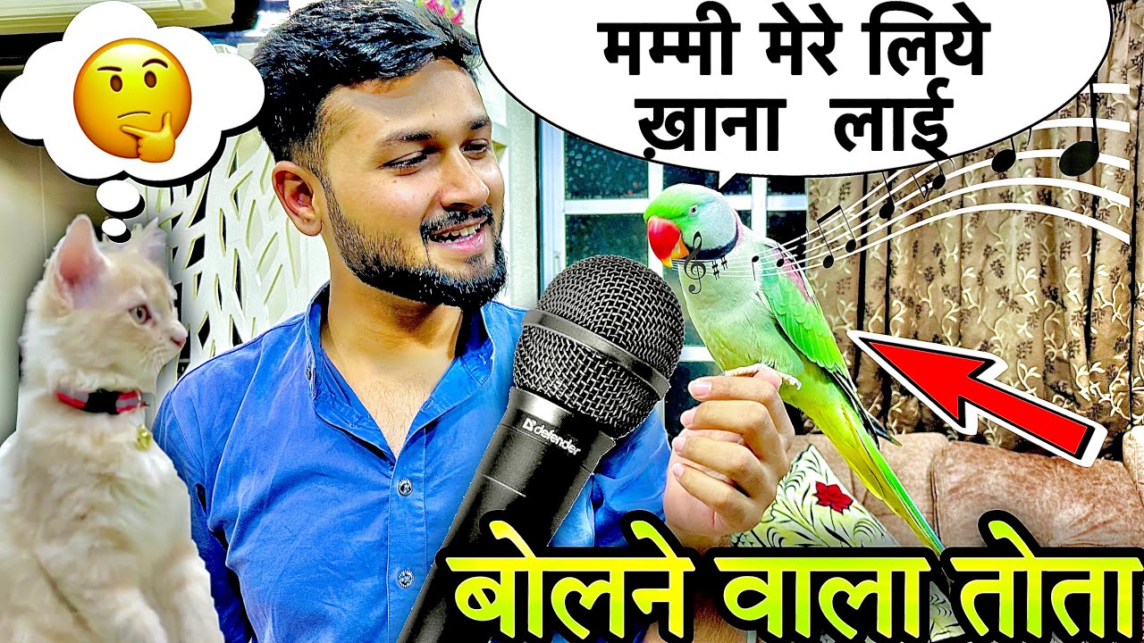 बोलने वाला तोता | बात करने वाला तोता #bolnewalatota #talkingparrot #birds #petslover #तोते #mitthu