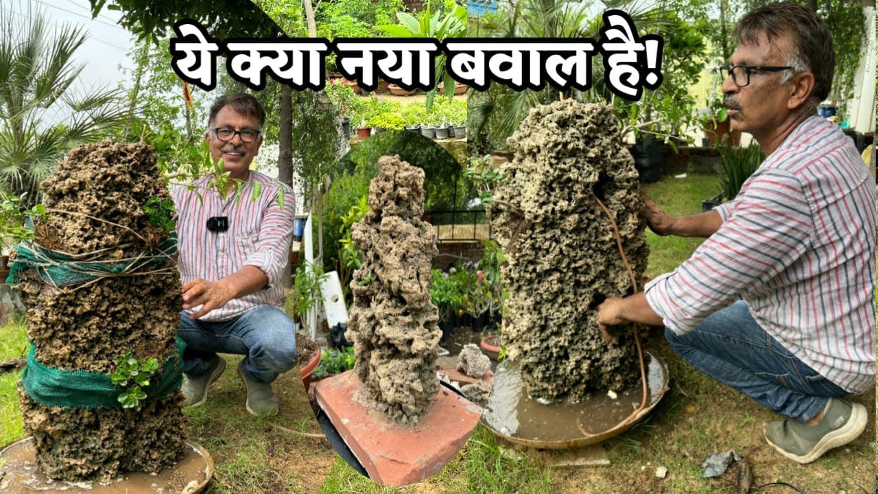 ये क्या नया बवाल है! हमने तो कभी नहीं देखा | DIY Penjing Bonsai Rock, Making Rocks for landscape