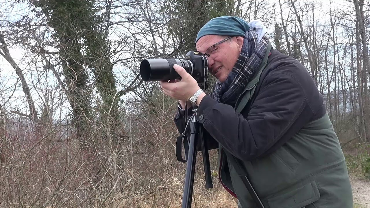 Vlog: Tokina 500mm F8 Objektiv - Vögel und ein Naturspaziergang