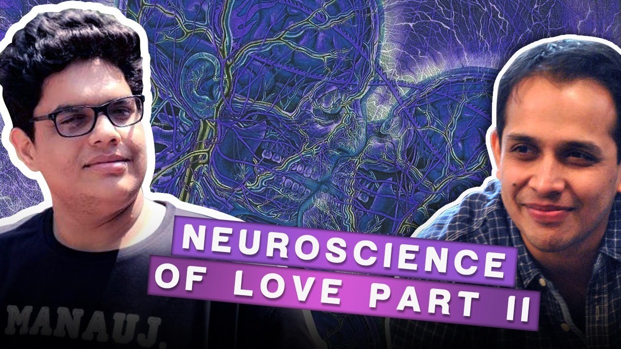 🔴 THE NEUROSCIENCE OF LOVE - PART 2