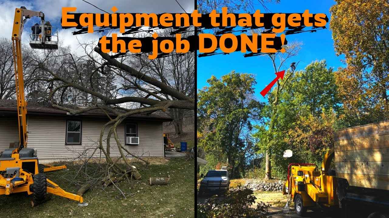 My Tree Service Equipment