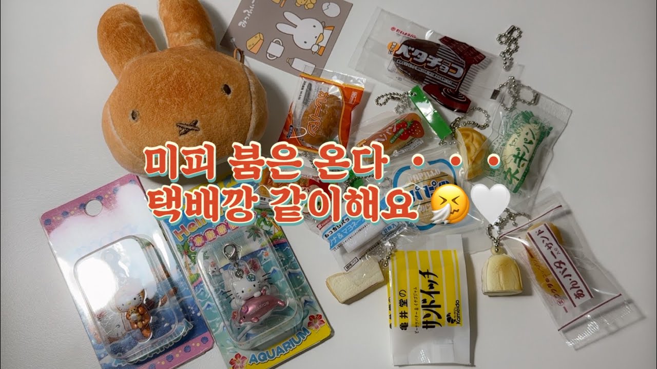 미피 붐은 온다 ••• n번의 택배깡 | 고전 키티 스트랩, 일본 빵 가챠, 미피 베이커리 빵 키링, 먼작귀 띠뿌씰, 메론빵소녀 키링, 수족관 레고 만들기, 소비로그, 소비해꾸