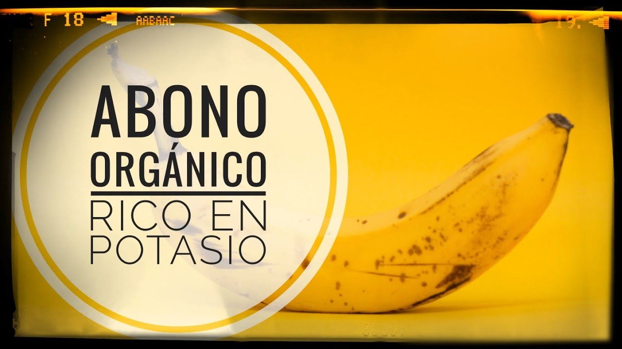 Elabora tu propio 💩 ABONO orgánico rico en POTASIO🍌|| GRATIS y Muy Fácil 💪
