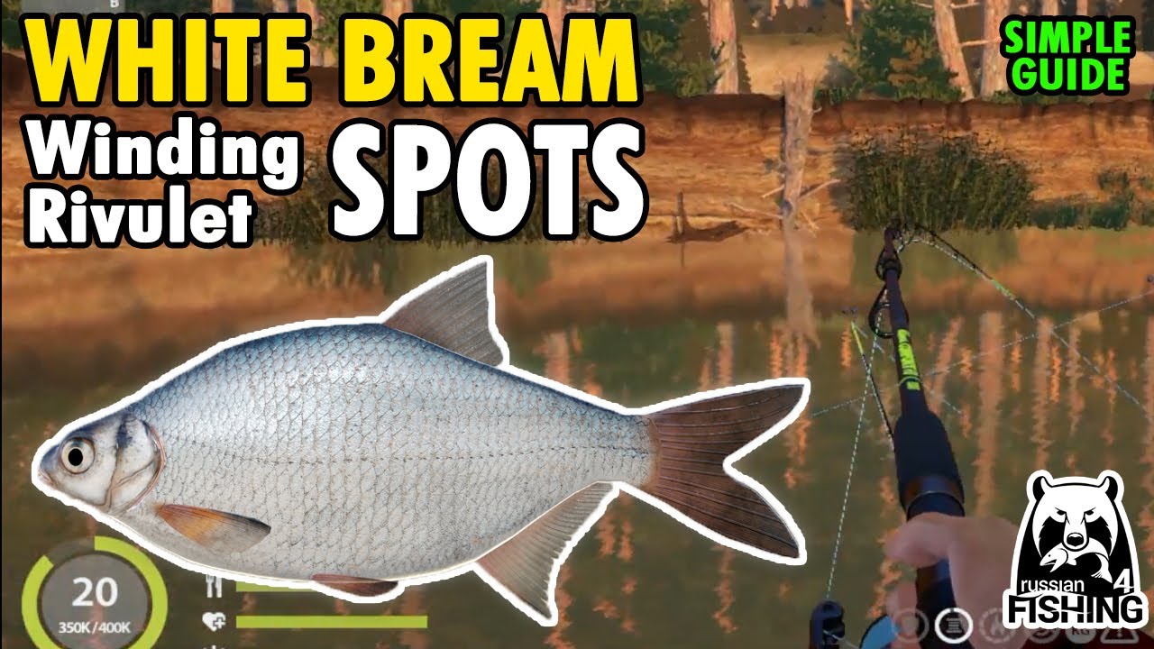 White Bream Spots - Winding Rivulet | Russian Fishing 4