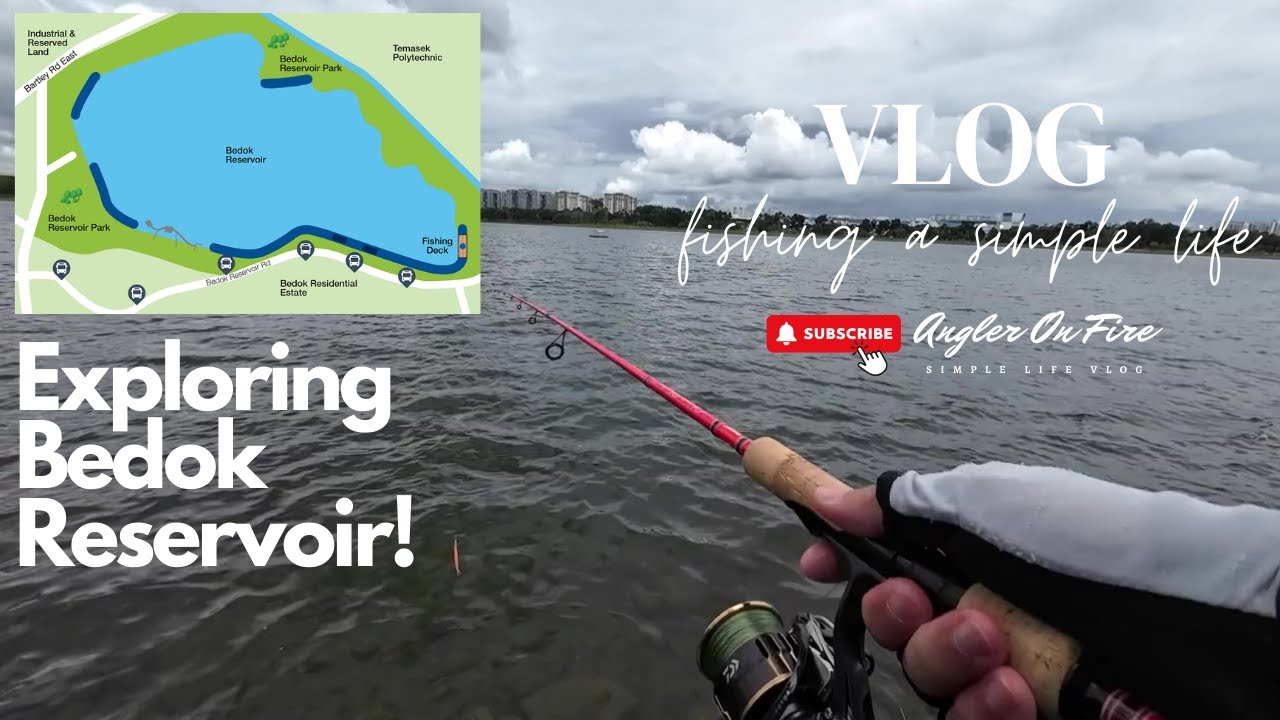 Vlog 13: Singapore Living, Fishing & Exploring Bedok Reservoir, Meals Out & Shopping For Good Deals