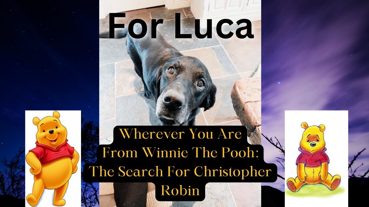 (For Luca) Wherever You Are from Winnie The Pooh: The Search For Christopher Robin Cover
