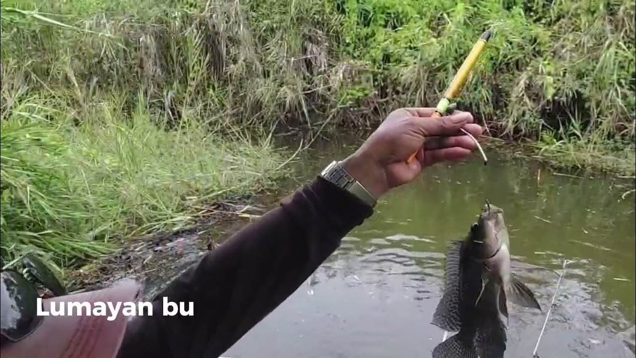 Mancing nila alam liar papua selatan 🐟🐟🐟  #mancingmania #fishing #merauke 