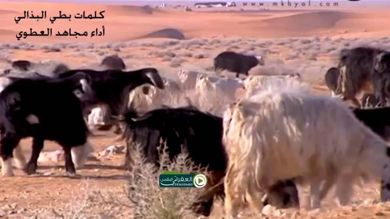 شيلة منصور قل لزين وش جاه مني على مناظر من الماضي الجميل كلمات بطي البذالي اداء مجاهد العطوي