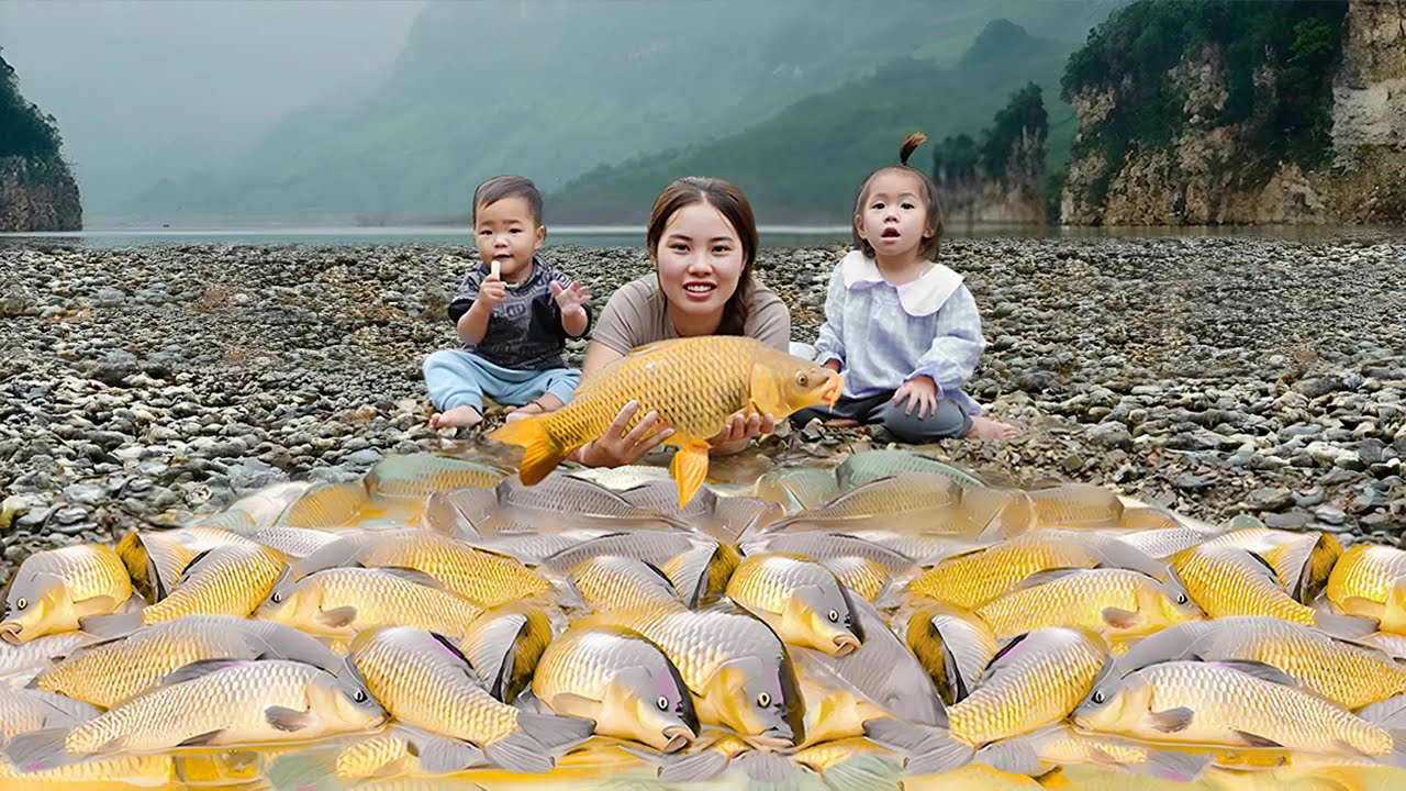 Lucky Fishing day for Ms. Duong's family. Harvesting Wild Honey and selling Potatoes | Village Life