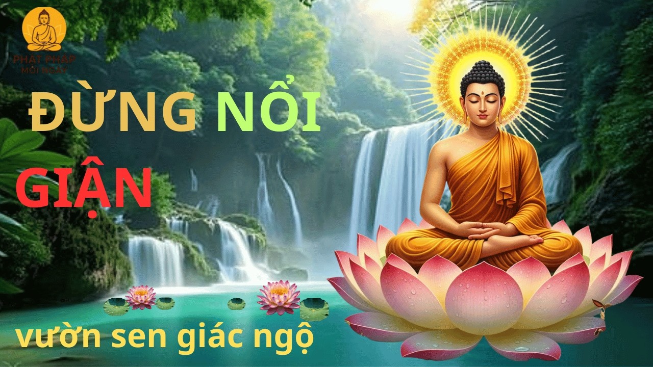 Khi Bị Coi Thường – Đức Phật Dạy Tuyệt Đối Đừng Làm 3 Điều Này