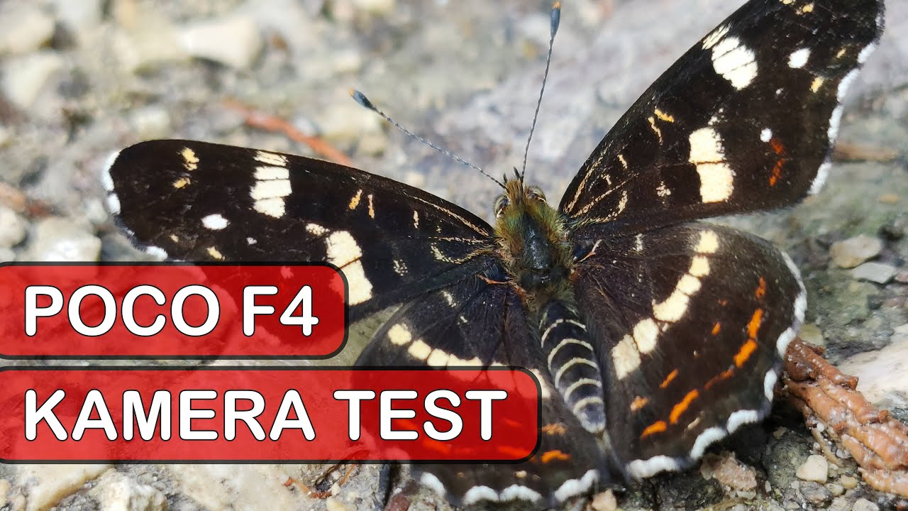 Poco F4 Kamera Test - 64MP mit OIS
