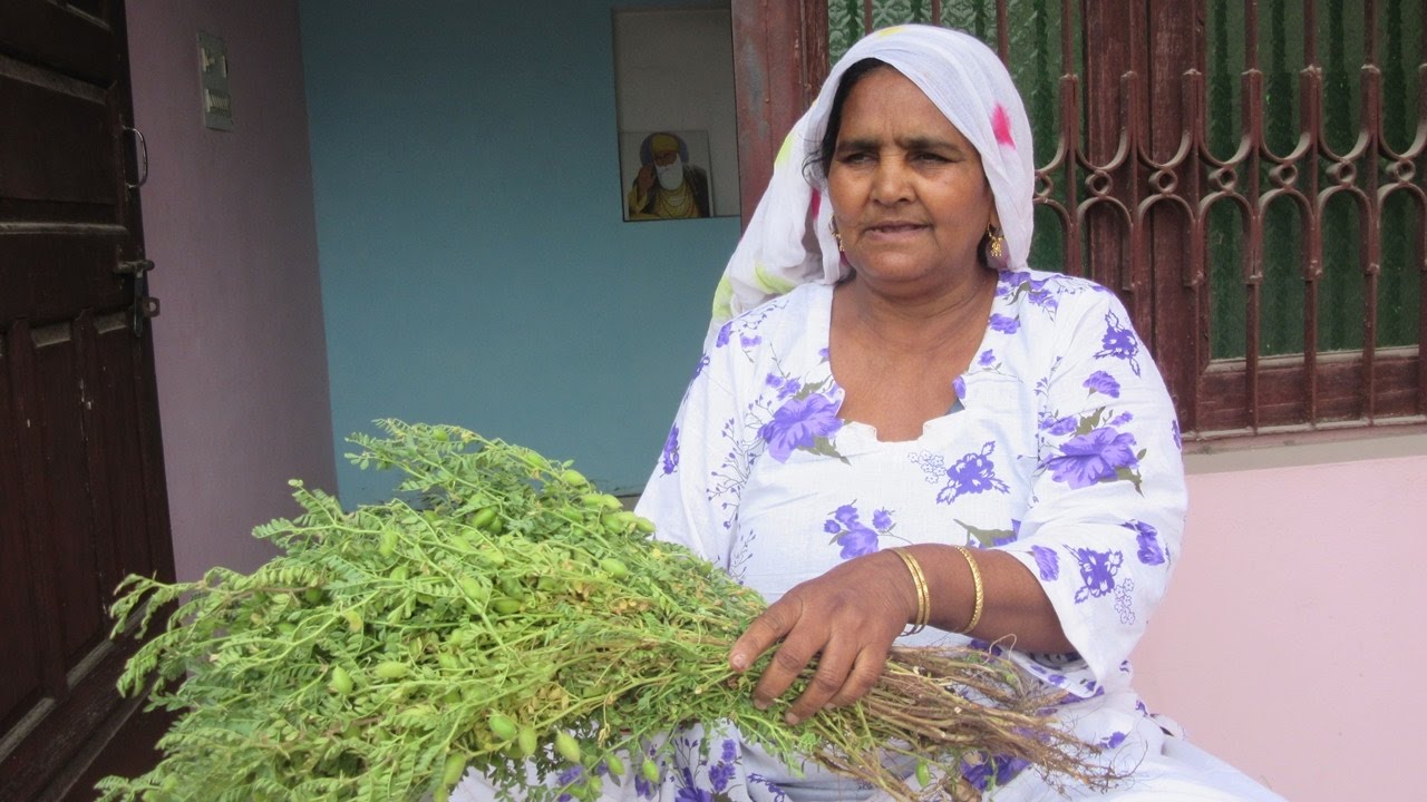 Hara Choliya Recipe ❤ Aloo Choliya Recipe ❤ Grandma style Recipe ❤ Punjabi Village Choliya Recipe