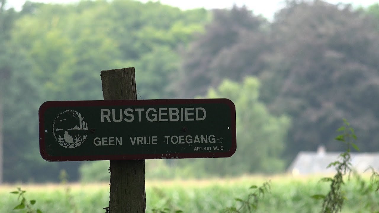 Goedenberg wk33 2017 Rustgebied en het bordes