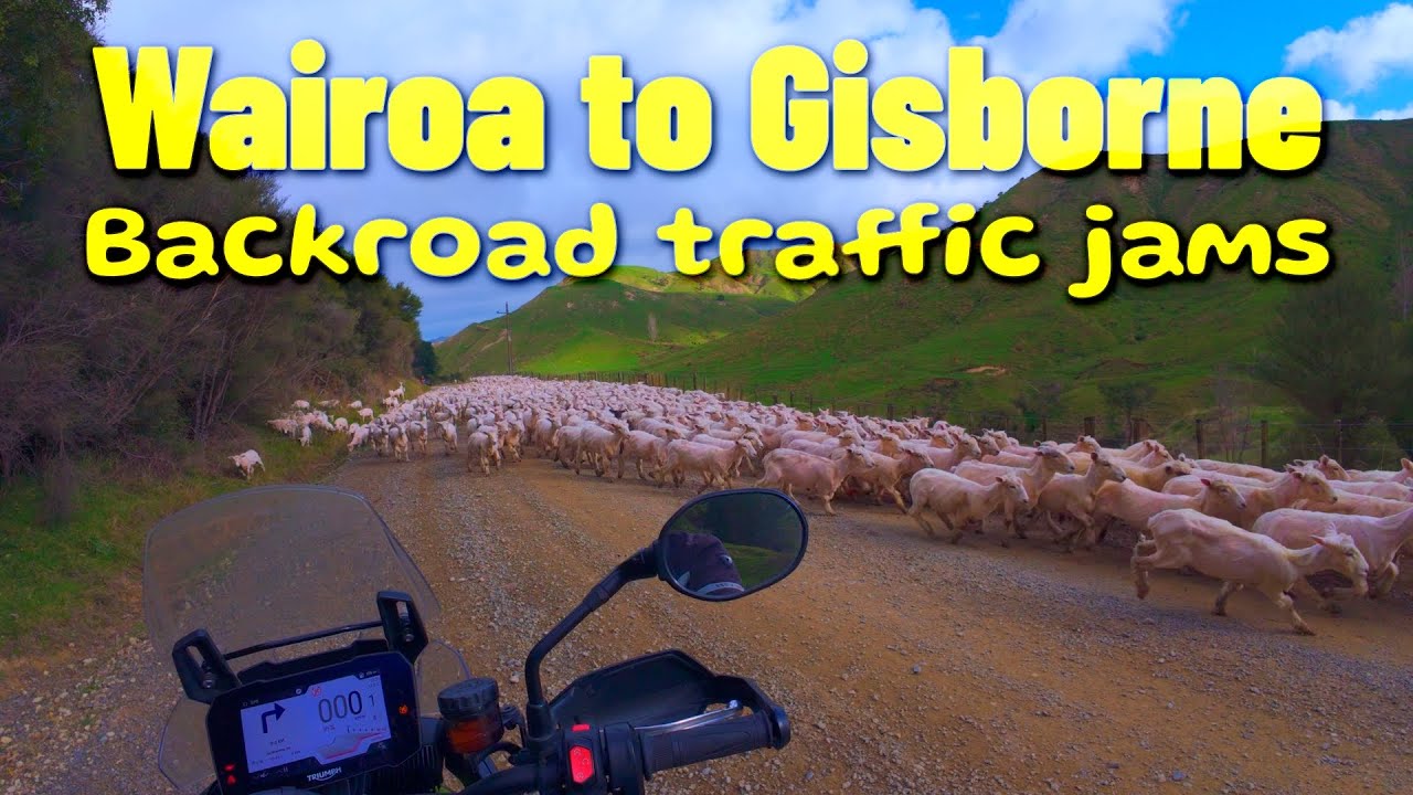 Wairoa to Gisborne on some nice backroads