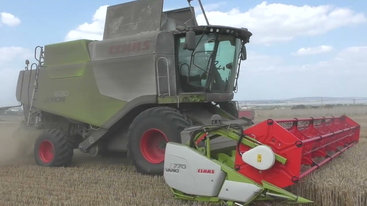 Harvest 2025 - Claas 630 Lexion Combining Barley