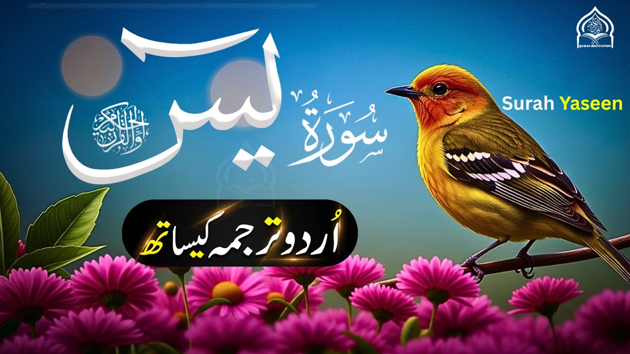 Surah Yasin Full with Urdu & Hindi Translation | Heart of Quran | سورة يس