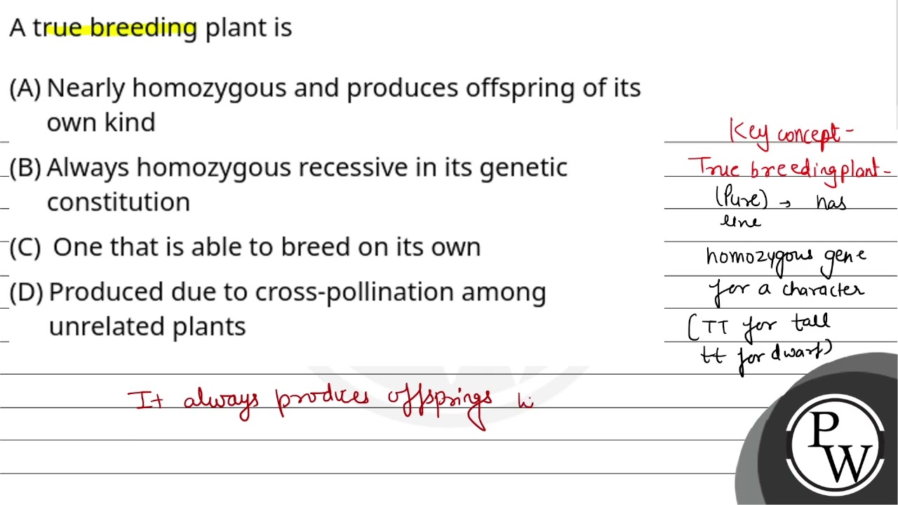 A true breeding plant is....