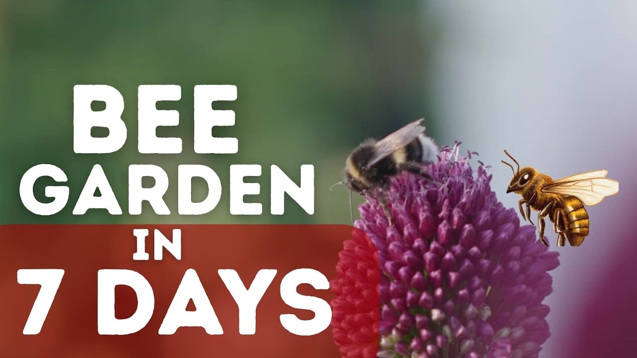 BEE GARDEN in 7 Days! 🐝 Top 10 EASY Flowers for a Bee-Friendly Garden (Beginner's Guide)