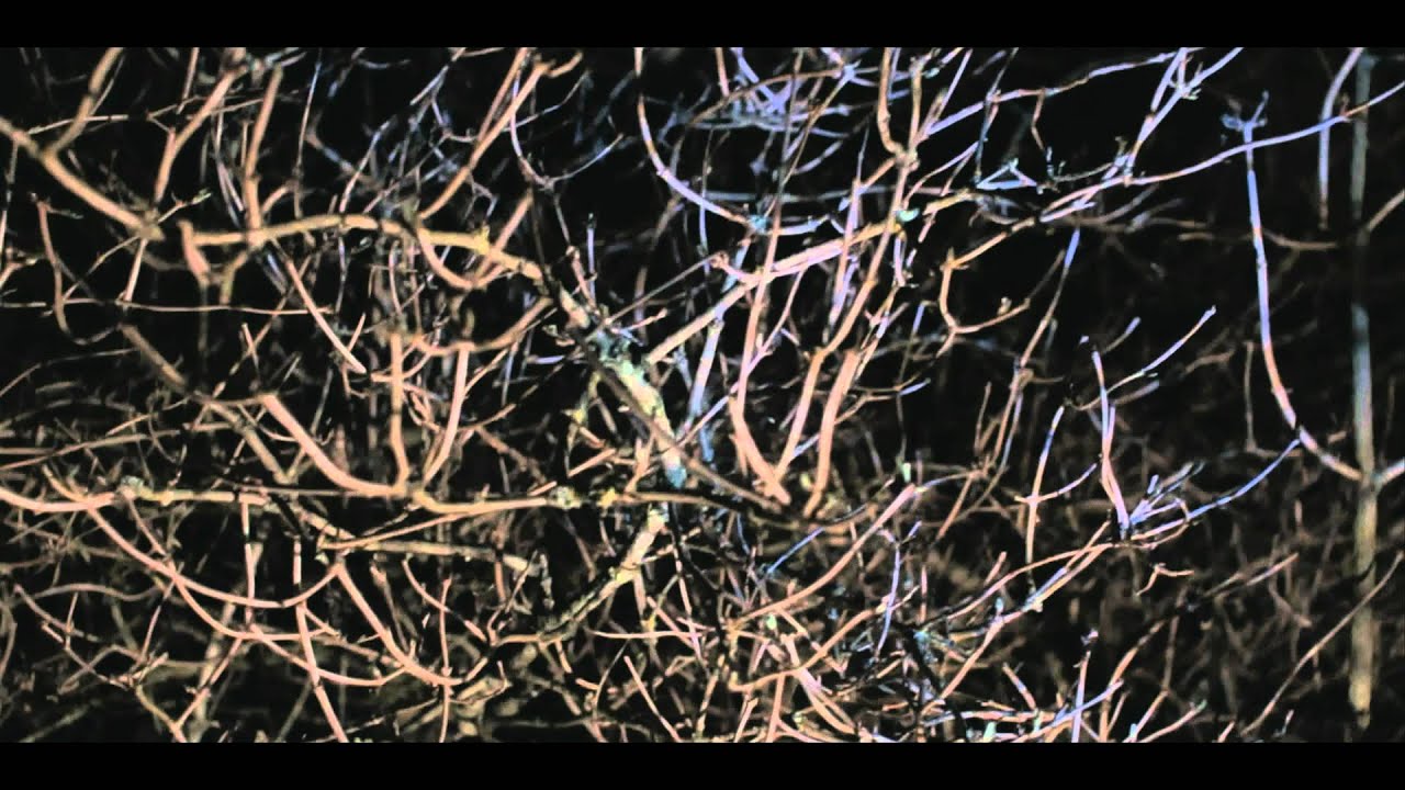 Sandy Rivera feat. Alisa Fedele - Avenue [Official Music Video]
