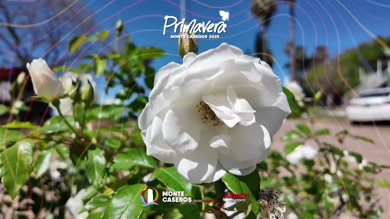 Spot Primavera 2025 ( Monte Caseros) 