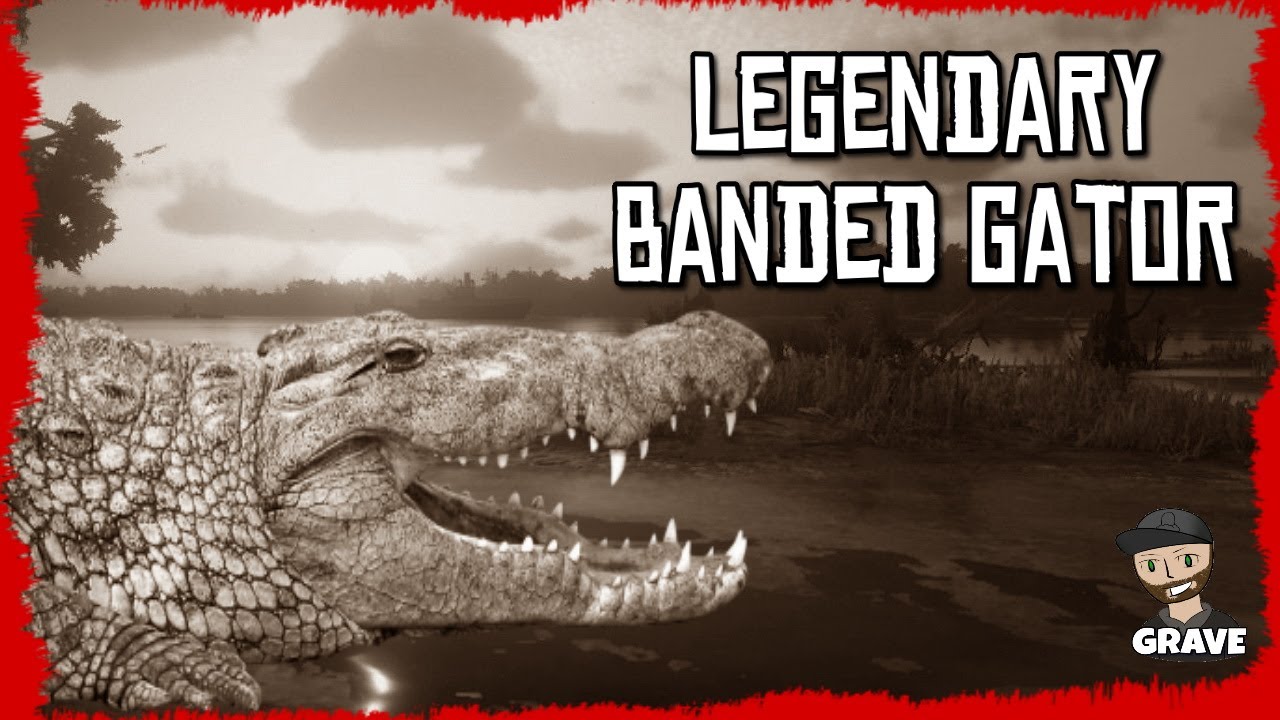 Legendary Banded Gator Red Dead Online