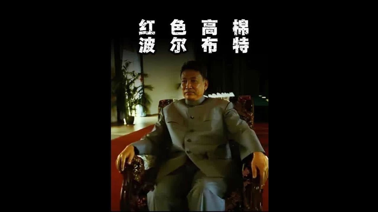 百万亡魂的刽子手：波尔布特的血腥统治与柬埔寨浩劫。#波尔布特 #柬埔寨 #红色高棉