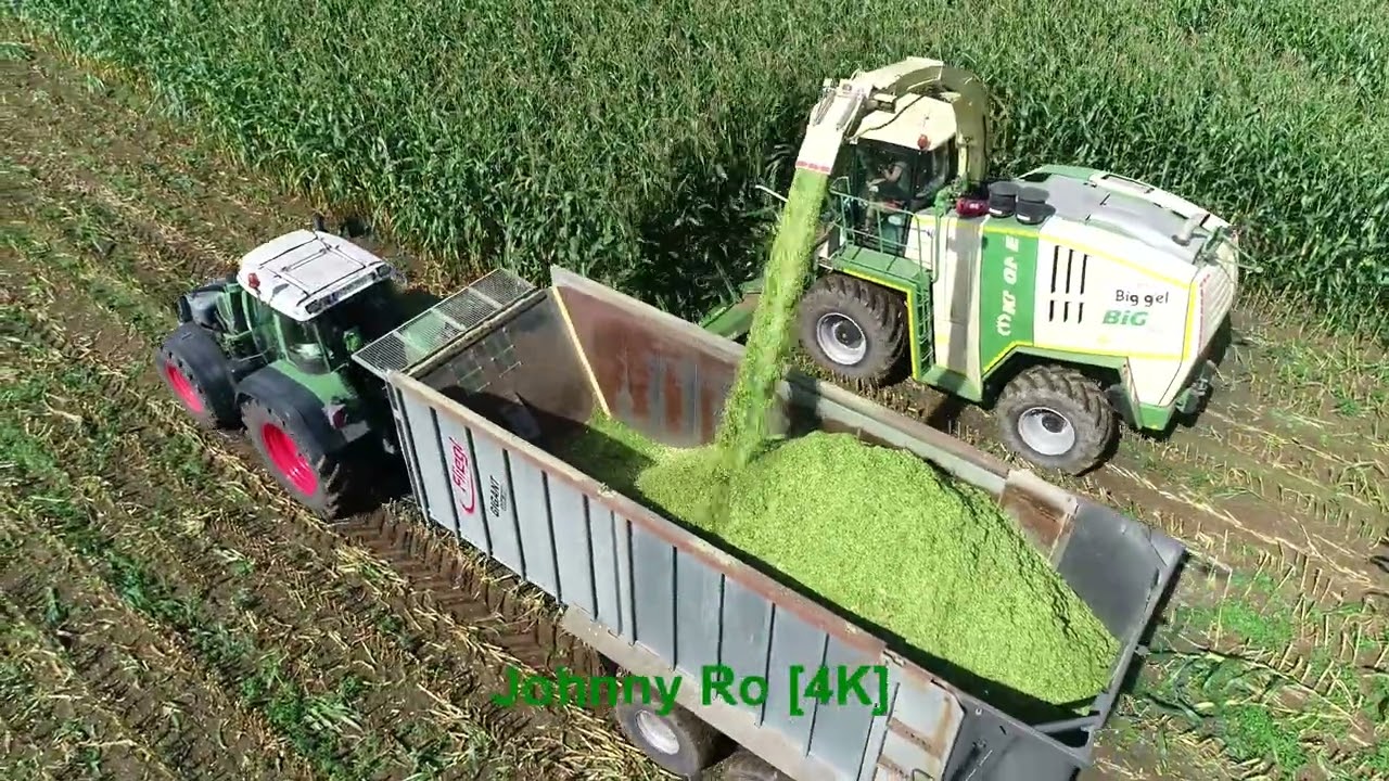 Maishäckseln 2024 Teil 3 mit LU Biggel Krone Big X700, Claas, Deutz Fendt, JCB, Fliegl, Kröger [4K]