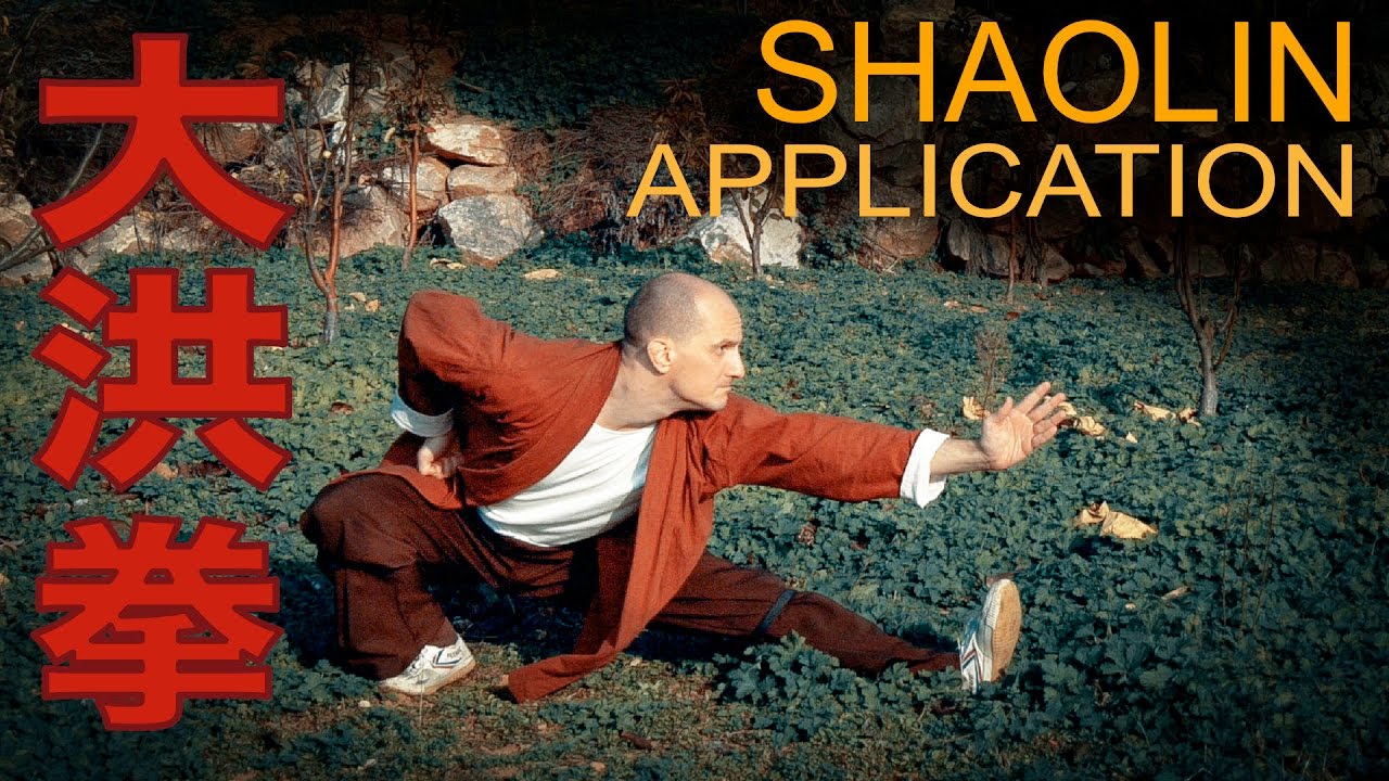 Shaolin Da Hong Quan Practical Application