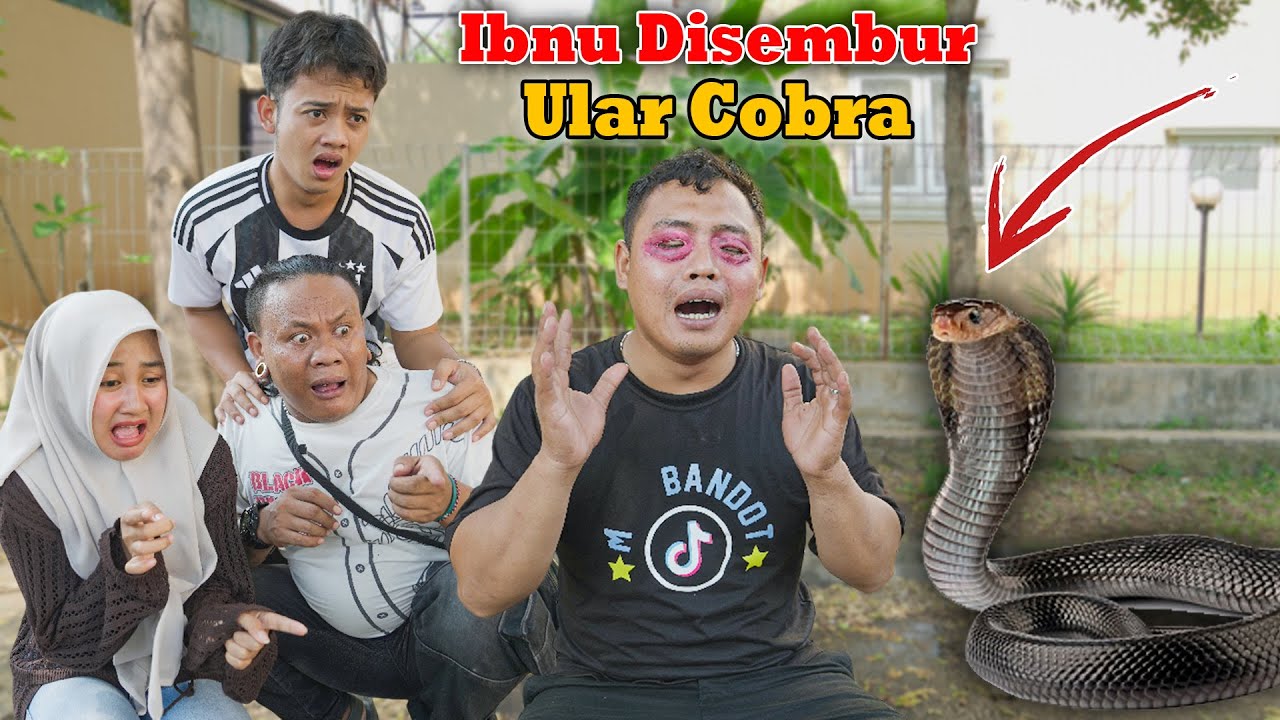 Mata Ibnu Kena semburan Ular Cobra Matannya Merah Hampir Buta