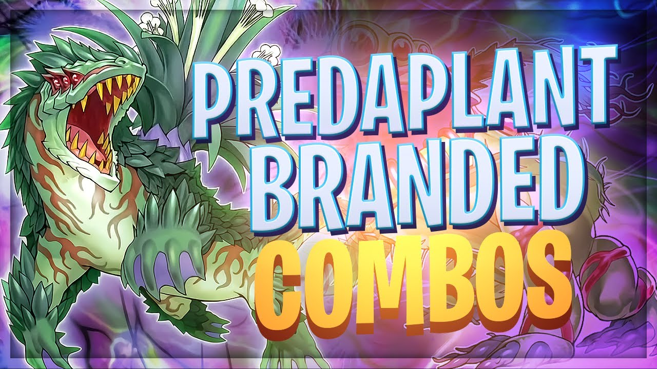 UNFAIR PREDAPLANT BRANDED DESPIA COMBOS !!! 6+ NEGATES ! Yu-Gi-Oh